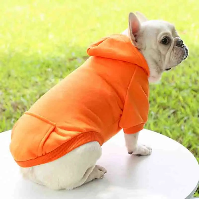 Dog Winter Hoodie: Small & Medium Breeds